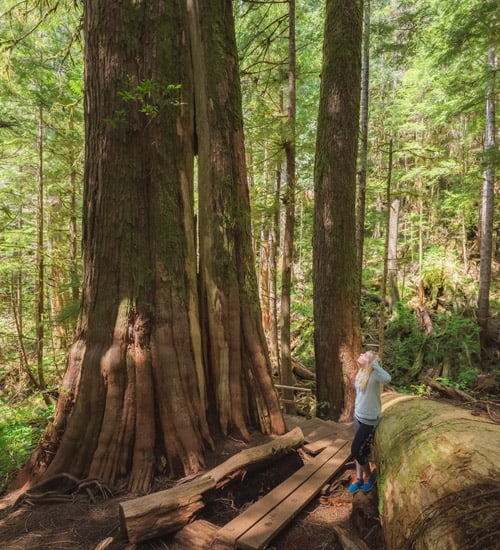 A Flourishing Natural World