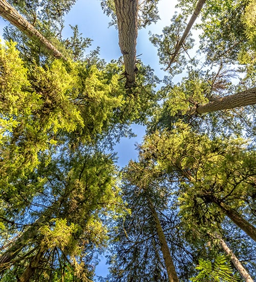 Biodiversity & Environmental Protection