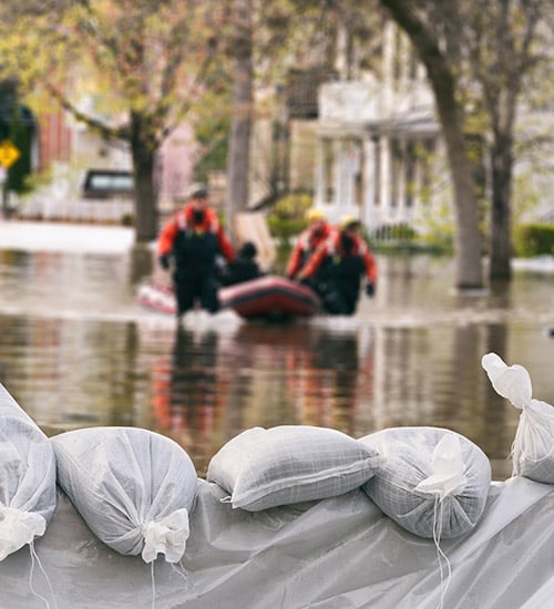 Disaster Prevention & Management