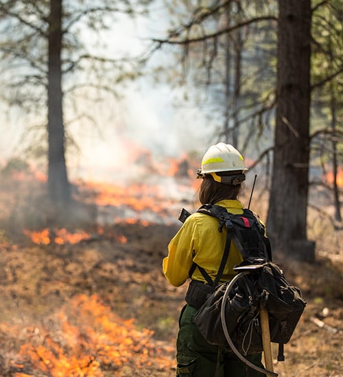 Wildfires